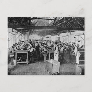 The cigar manufacturing departments postcard