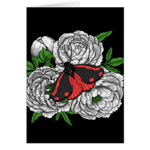 The cinnabar moth cards
