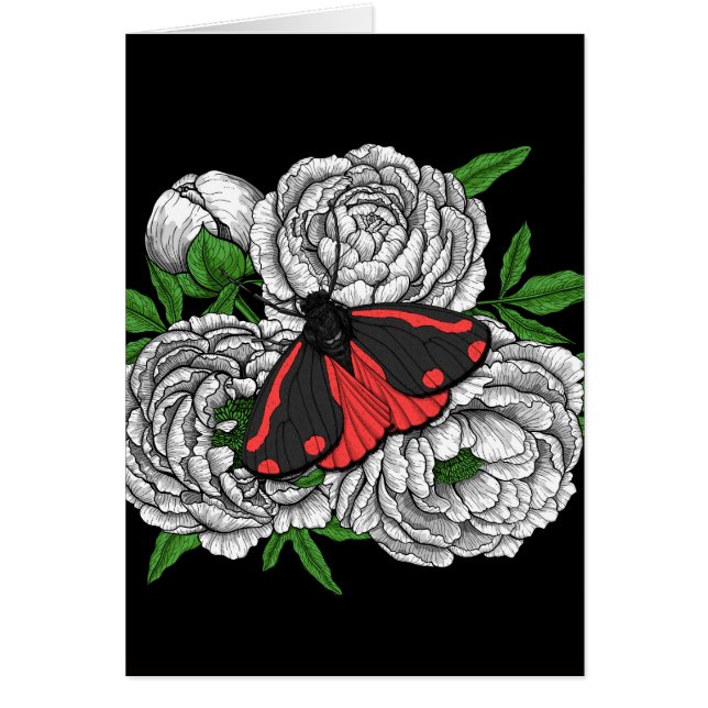 The cinnabar moth cards (Front)