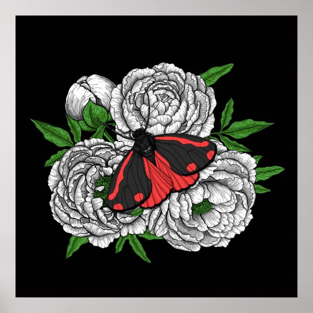 The cinnabar moth poster (Front)