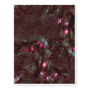 The Circinus Galaxy (ESO 97-G13) is a Seyfert gala Temporary Tattoos