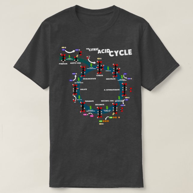 The Citric Acid Cycle T-Shirt (Design Front)