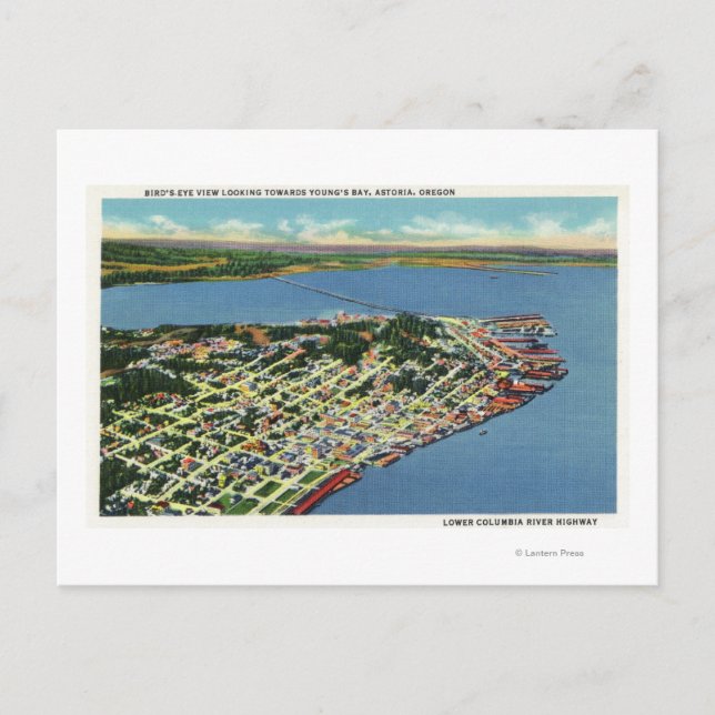 The City Looking Towards Young's Bay Postcard (Front)