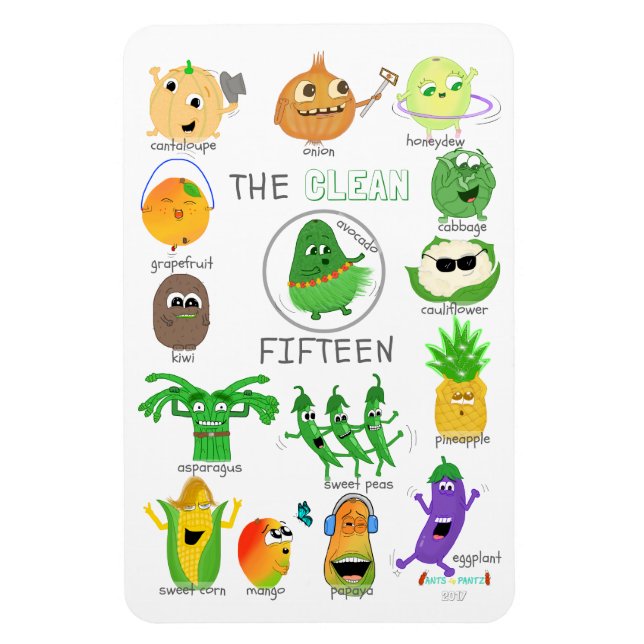 The Clean 15 illustrated list - 2017 (labeled) Magnet (Vertical)