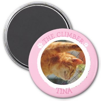 The Climber Humorous  Cat Personality Photo Button Magnet by Everything_Grandma at Zazzle