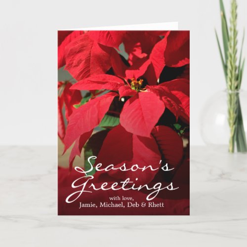 The close_up of a poinsettia holiday card