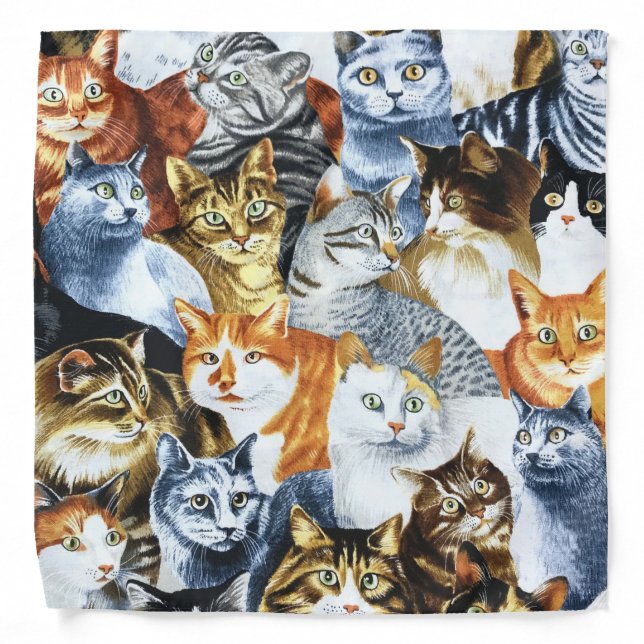 The Clowder of CATS Bandana (Front)