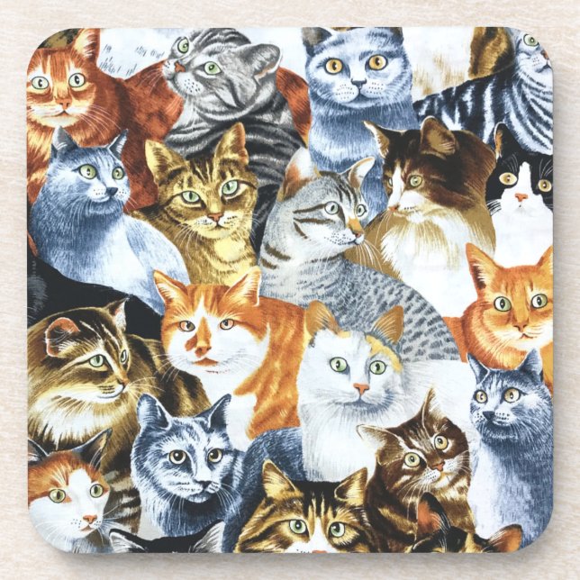 The Clowder of CATS Beverage Coaster (Front)
