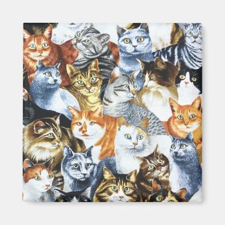 The Clowder of CATS