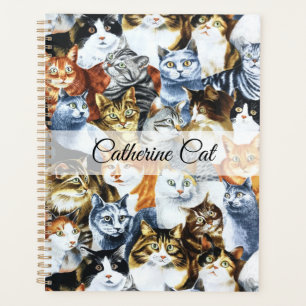 The Clowder of CATS Planner