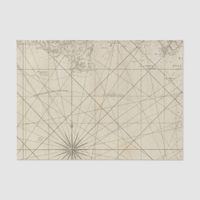 The Coast of West Florida and Louisiana Tissue Paper (Front)