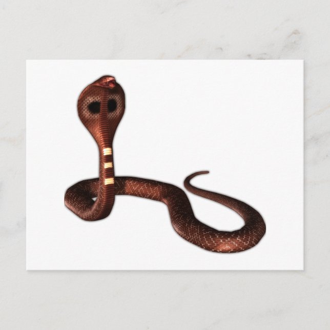 The Cobra, Deadly Snake Postcard (Front)