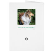 The Collie and the Tulips (Back)