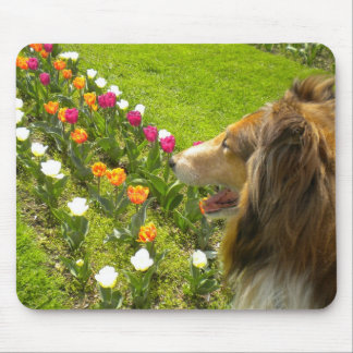 The Collie N More Tulips Mouse Pad
