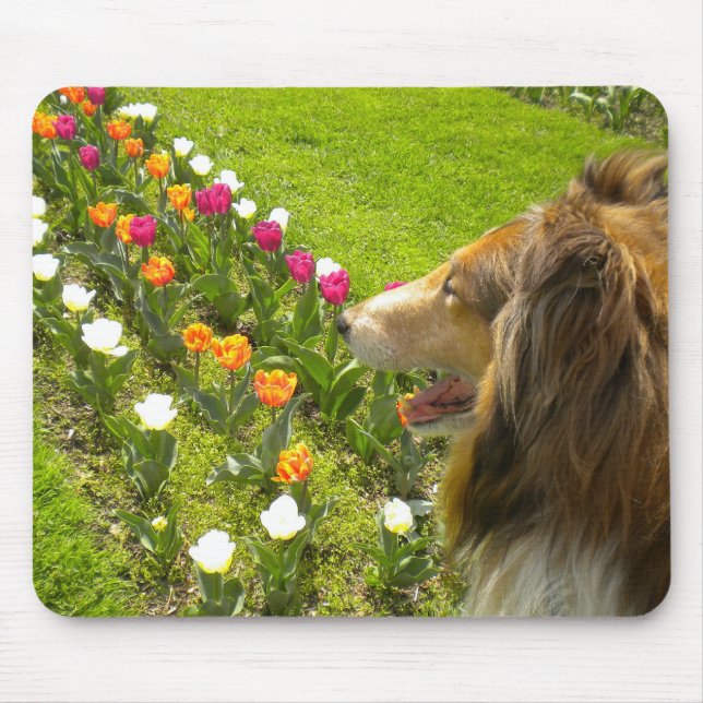 The Collie N More Tulips Mouse Pad (Front)