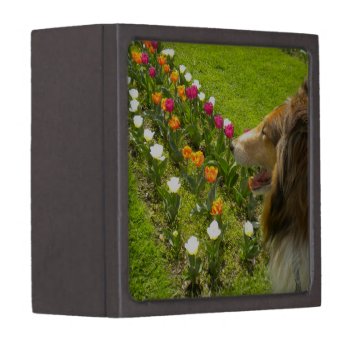 The Collie N The Tulips Trinket Box by minx267 at Zazzle