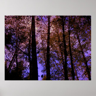 The Color Of Nature Poster