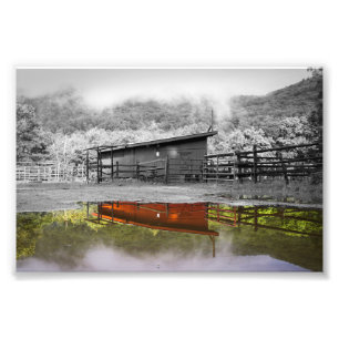 The Color of Reflection Print