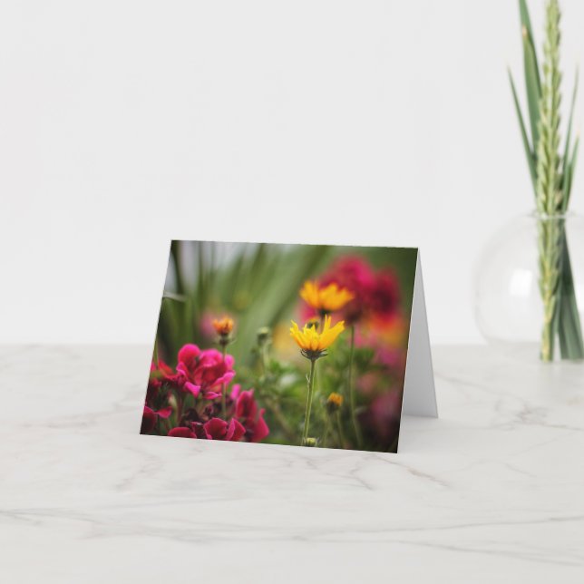 The Color of Summer Note Cards (Front)