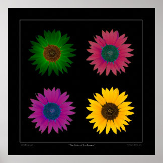 "The Color of Sunflowers" Designer Poster on Black