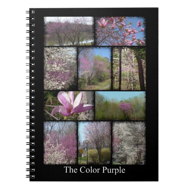 "The Color Purple" Notebook (Front)