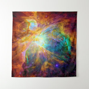 The Colorful Orion Nebula Tapestry