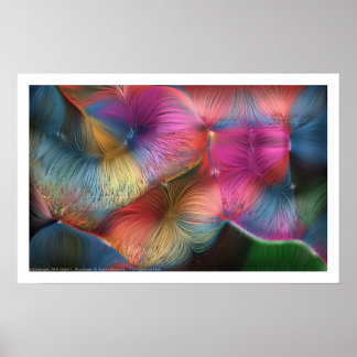 The Colors In Hair Poster