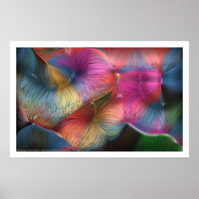 The Colors In Hair Poster (Front)