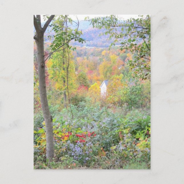 the colors of a mountain fall postcard (Front)