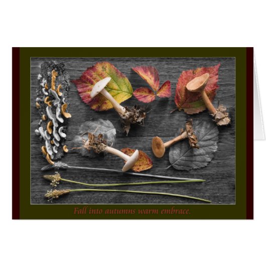 The colors of Fall Cards (Front Horizontal)