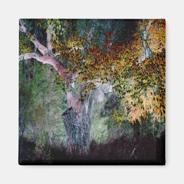 The Colors of Fall.... Magnet (Front)
