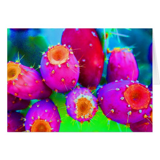 The Colors of  Prickly Pears Cards (Front Horizontal)