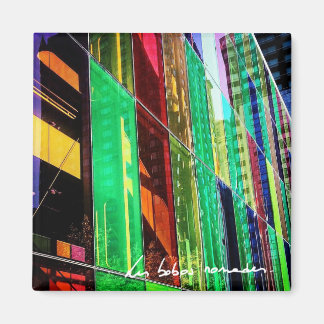 The colors of the Palais Magnet