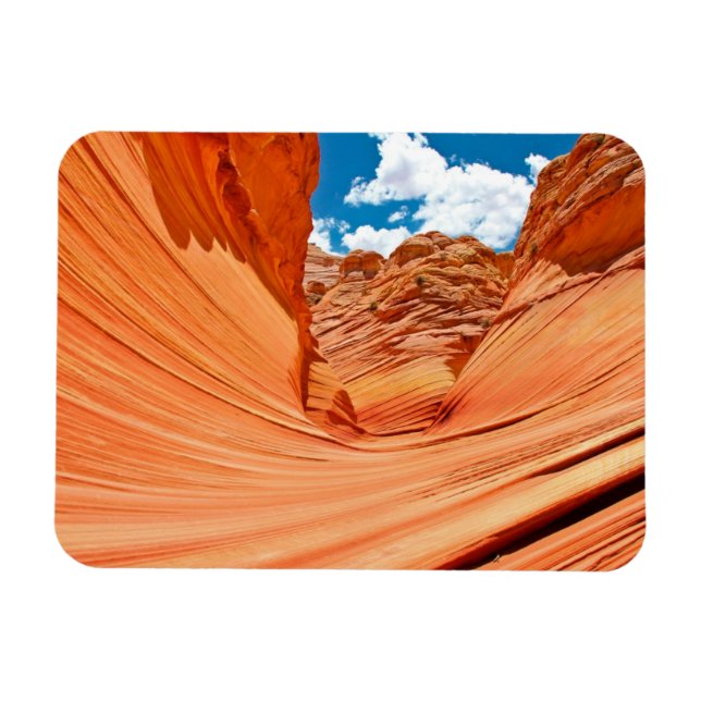 The Colors of the Wave Magnet (Horizontal)