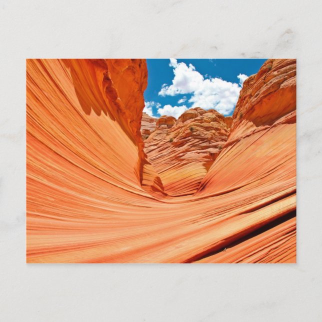 The Colors of the Wave Postcard (Front)