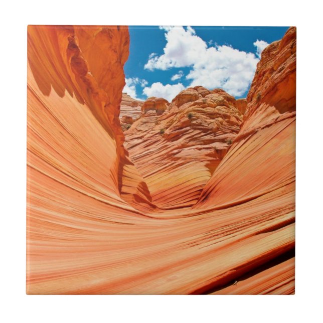 The Colors of the Wave Tile (Front)