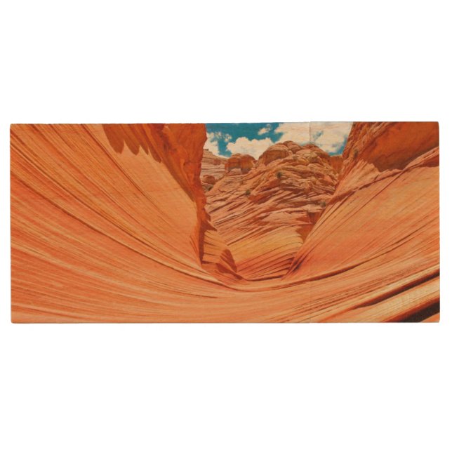 The Colors of the Wave Wood USB Flash Drive (Front)