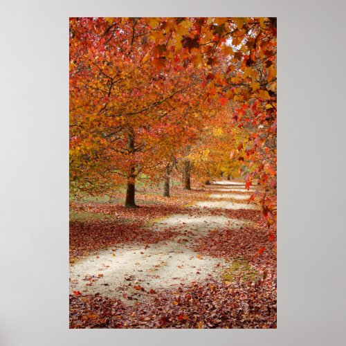 The colours of Autumn Leaves Poster