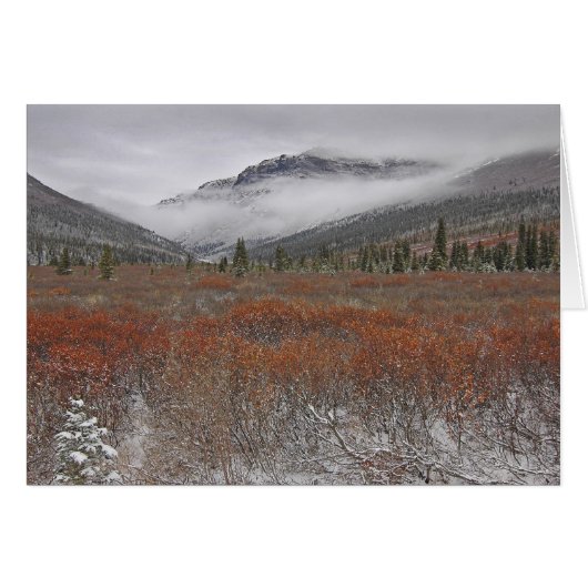 The Coming of Winter Cards (Front Horizontal)