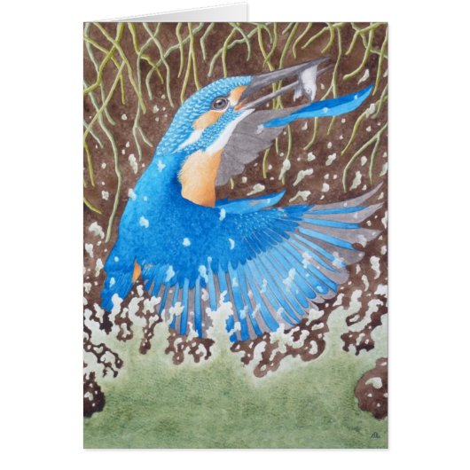 The Common Kingfisher (Front)