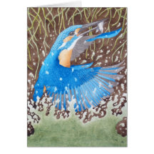 The Common Kingfisher