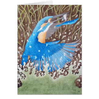 The Common Kingfisher Cards