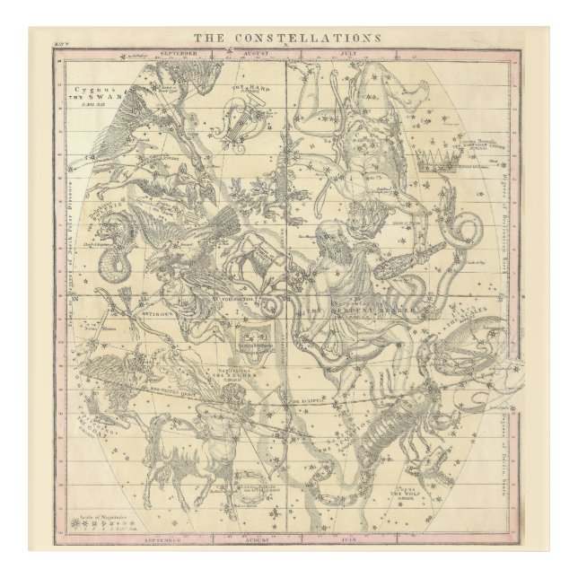 The Constellations (July, August, September) Acrylic Print (Front)