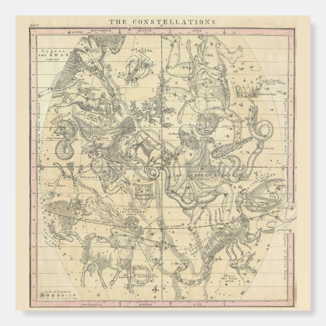 The Constellations (July, August, September) Foam Board (Front)