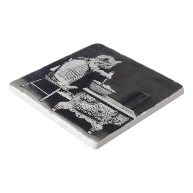 The Cook Cat Funny Harry Whittier Frees 1914 Trivet (Corner)