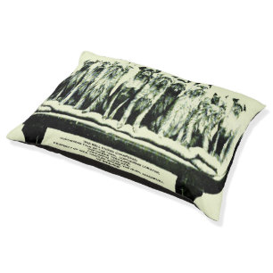 "The copthorne Brussels-Griffons" Pet Bed