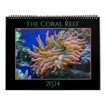 The Coral Reef Calendar