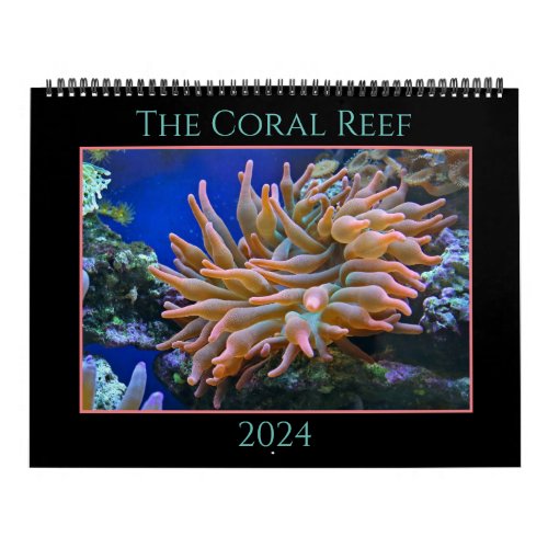 The Coral Reef Calendar