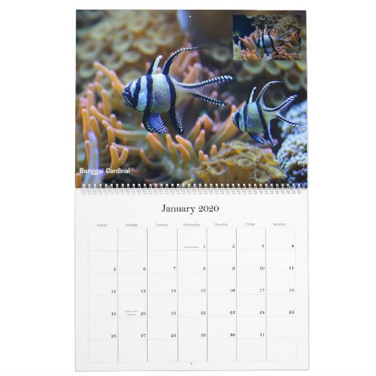 The Coral Reef Calendar | Zazzle.com