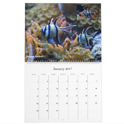 The Coral Reef Calendar | Zazzle